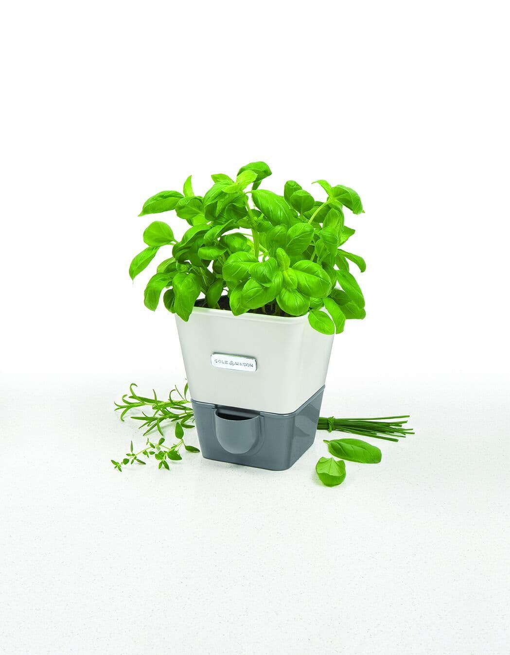 COLE & MASON Самополиваща се кашпа за зелени подправки или цветя