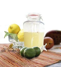 Vin Bouquet Стъклен буркан / диспенсър за течности 8л с кранче