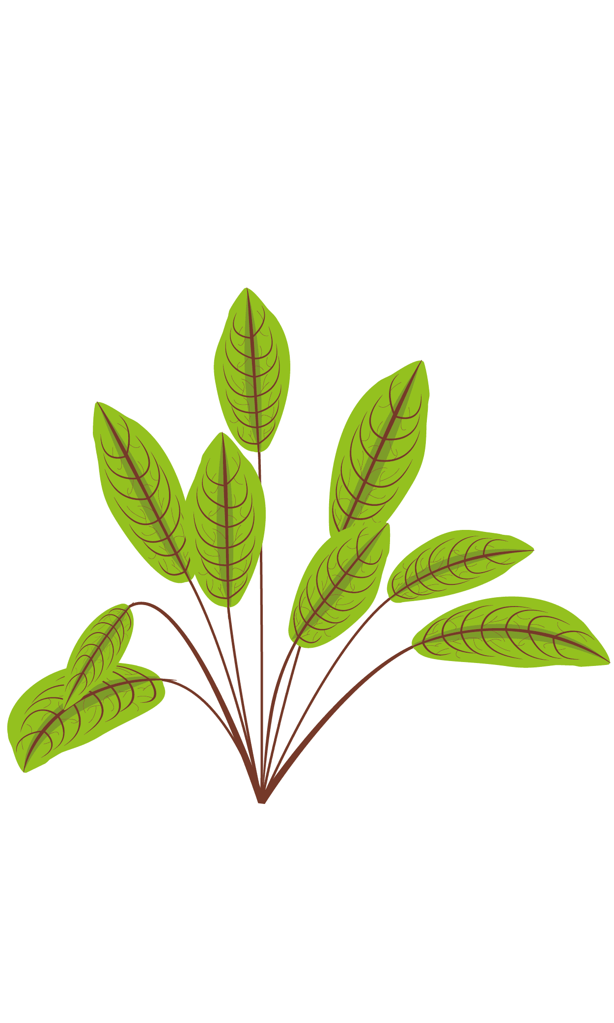 VERITABLE Lingot® Bloody Dock – Лапад