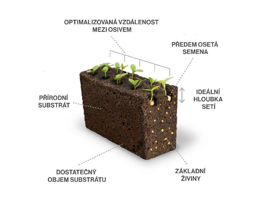 VERITABLE Lingot® Mammoth Basil Organic – Босилек Мамут