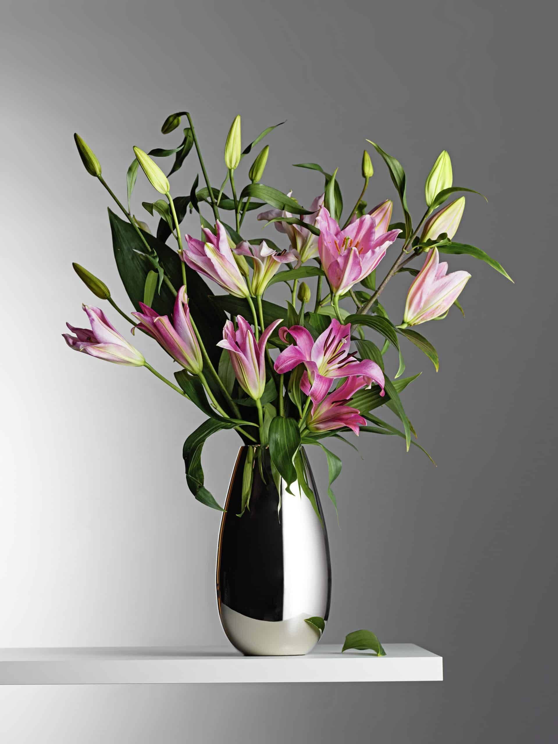 PHILIPPI Ваза “ANAIS“ – L размер