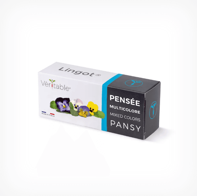 VERITABLE Lingot® Multi colored Pansy – Многоцветна Теменужка