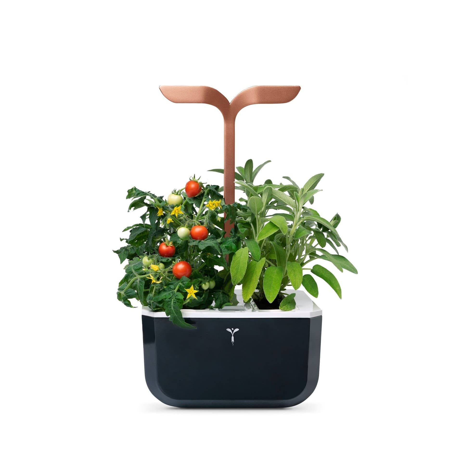 Домашна градина EXKY® SMART GARDEN – цвят черен/мед