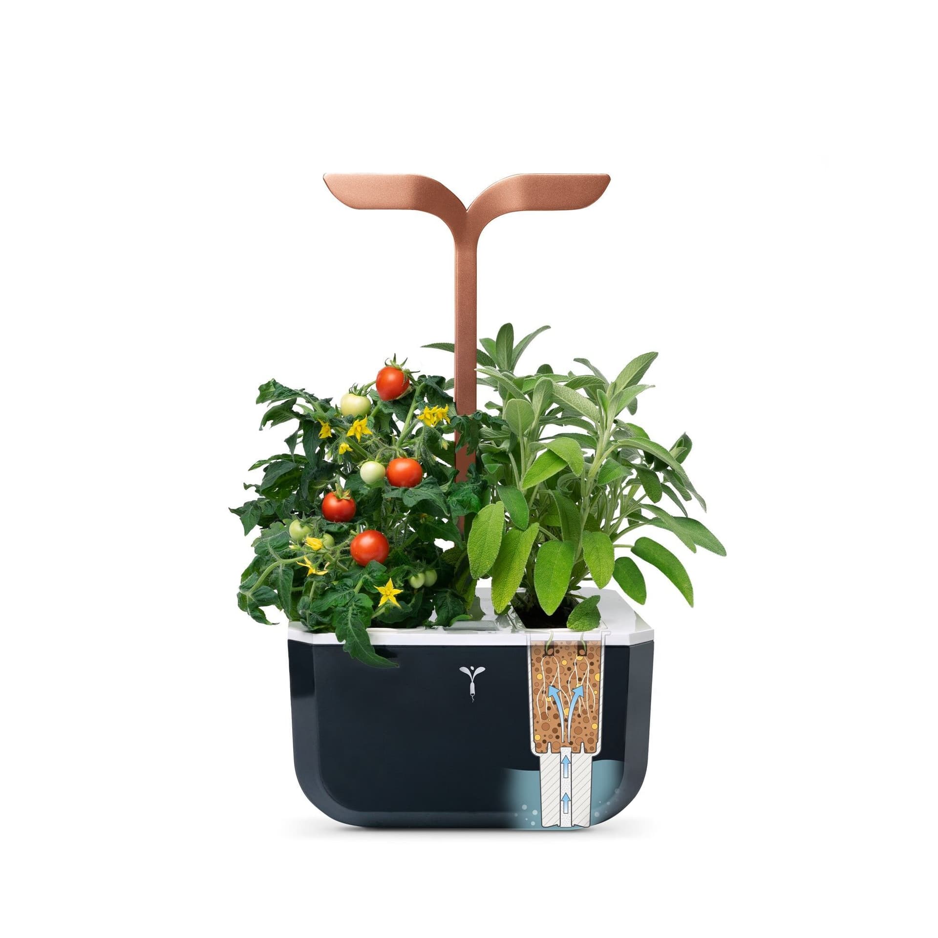 Домашна градина EXKY® SMART GARDEN – цвят черен/мед