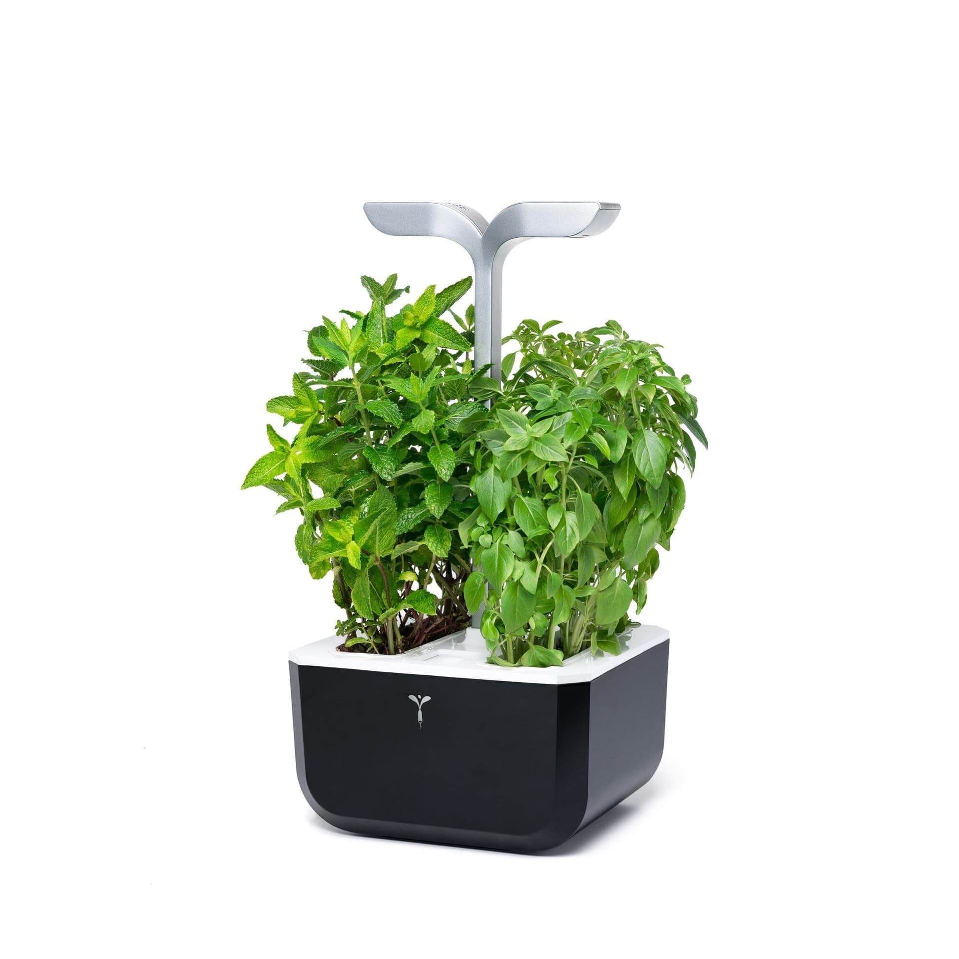 Домашна градина EXKY® SMART GARDEN – цвят черен/инокс