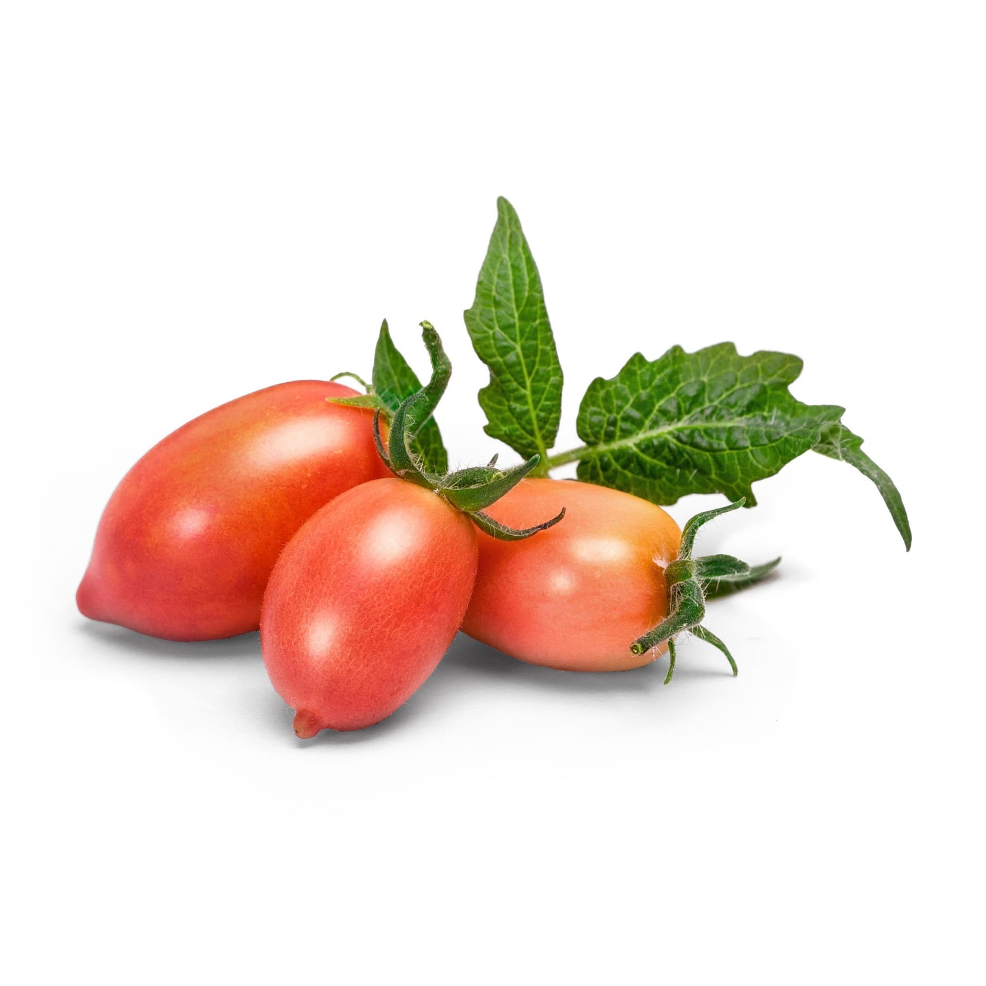 VERITABLE Lingot® Pink Mini-Tomato – Розови Мини Домати