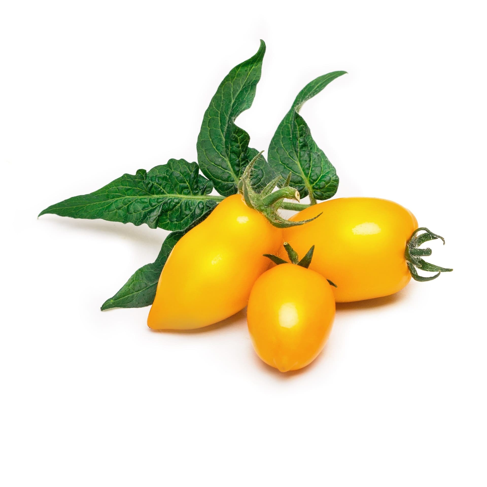 VERITABLE Lingot® Yellow Mini-Tomato – Жълти Мини Домати