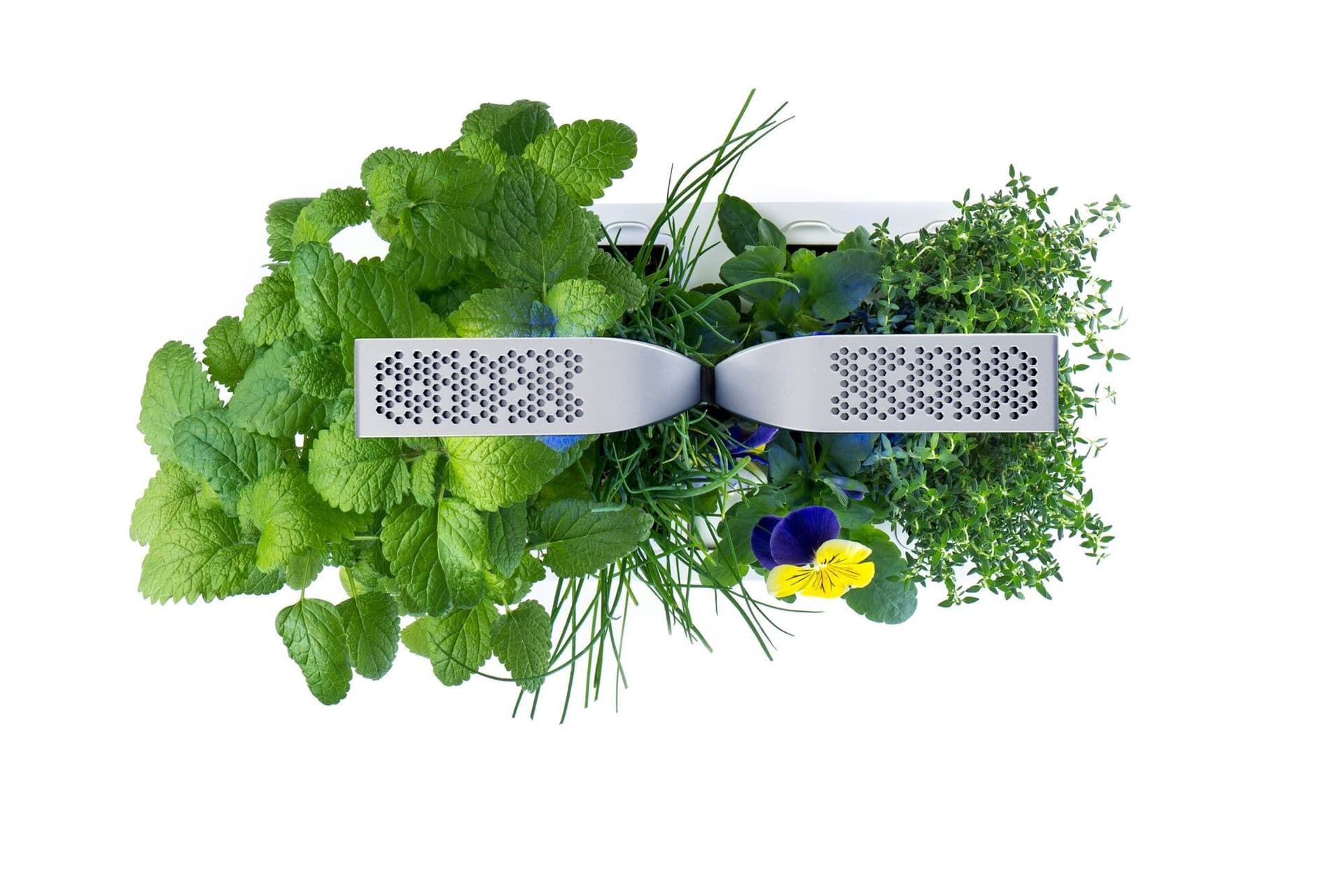 Домашна градина SMART VÉRITABLE® GARDEN – цвят бял/ инокс