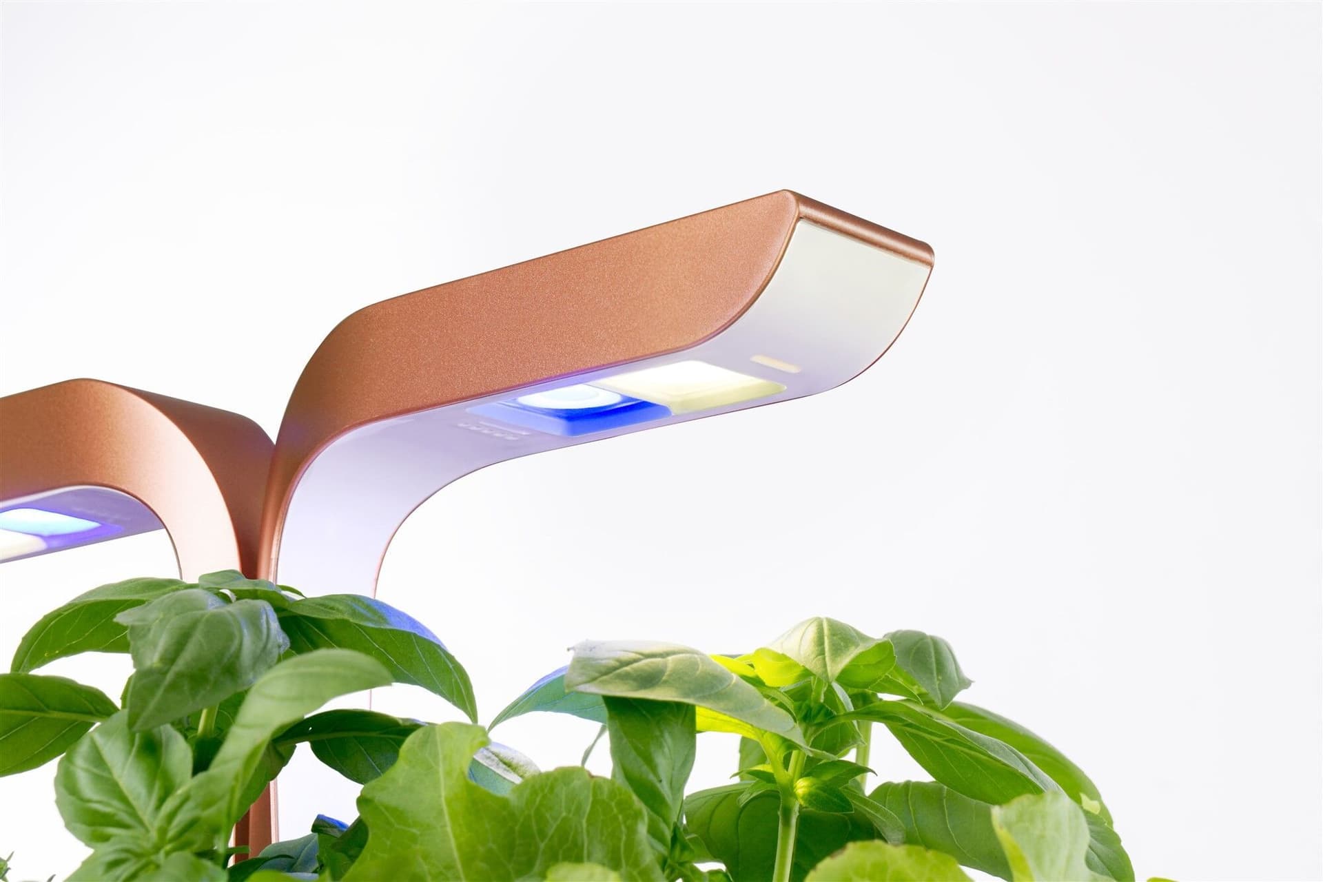 Домашна градина SMART VÉRITABLE® GARDEN – цвят черен/мед