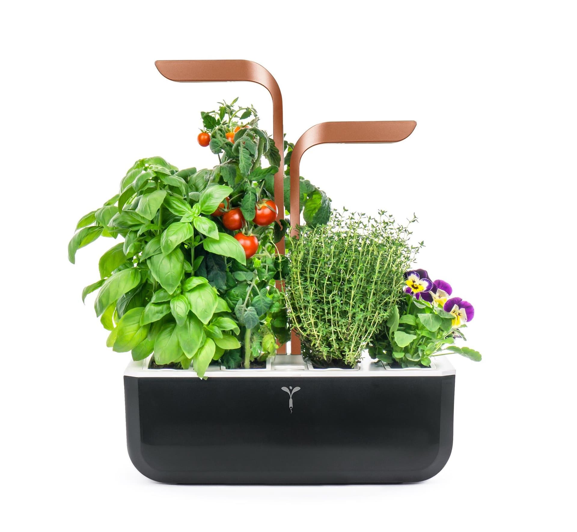 Домашна градина SMART VÉRITABLE® GARDEN – цвят черен/мед
