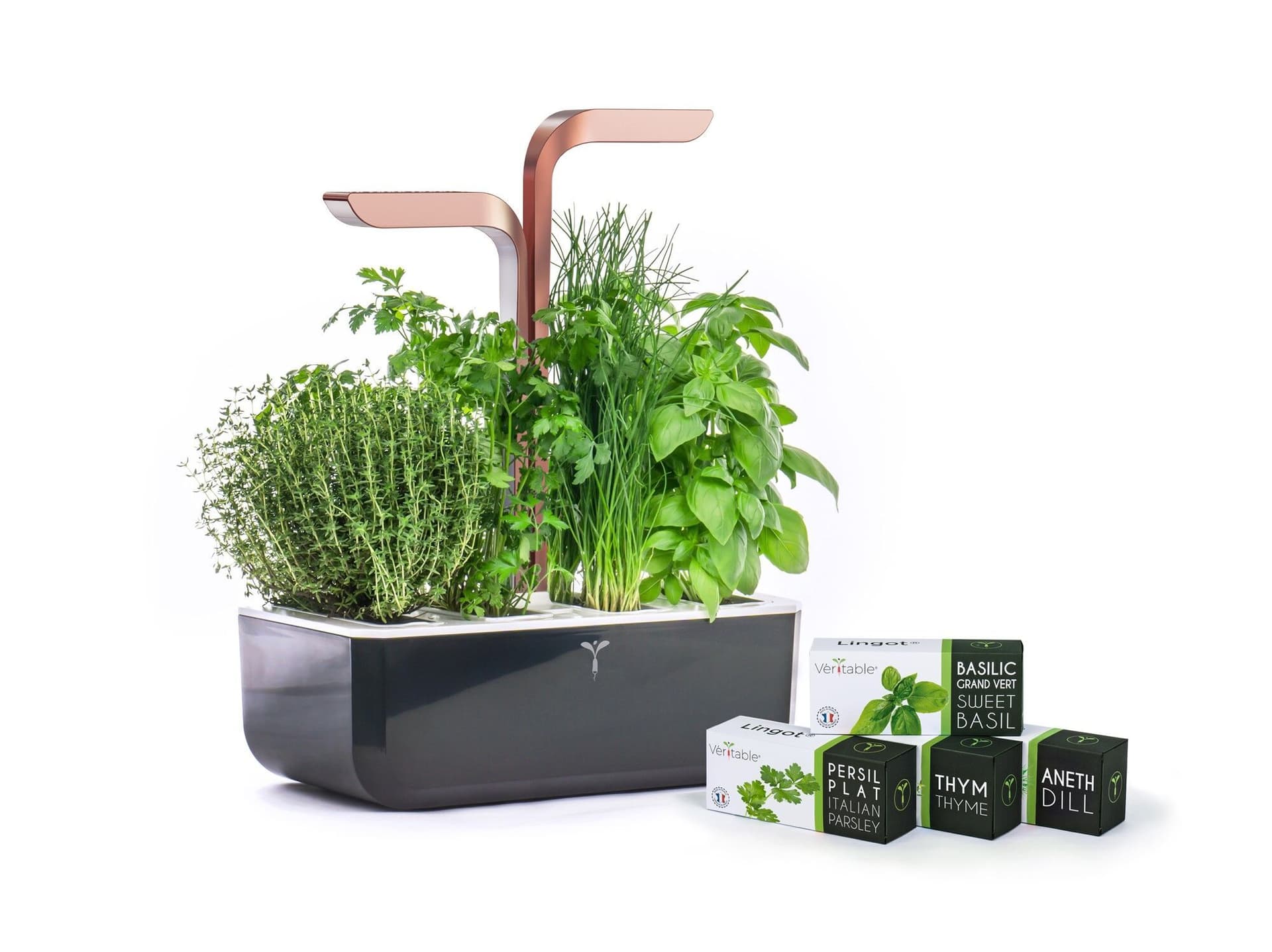 Домашна градина SMART VÉRITABLE® GARDEN – цвят черен/мед
