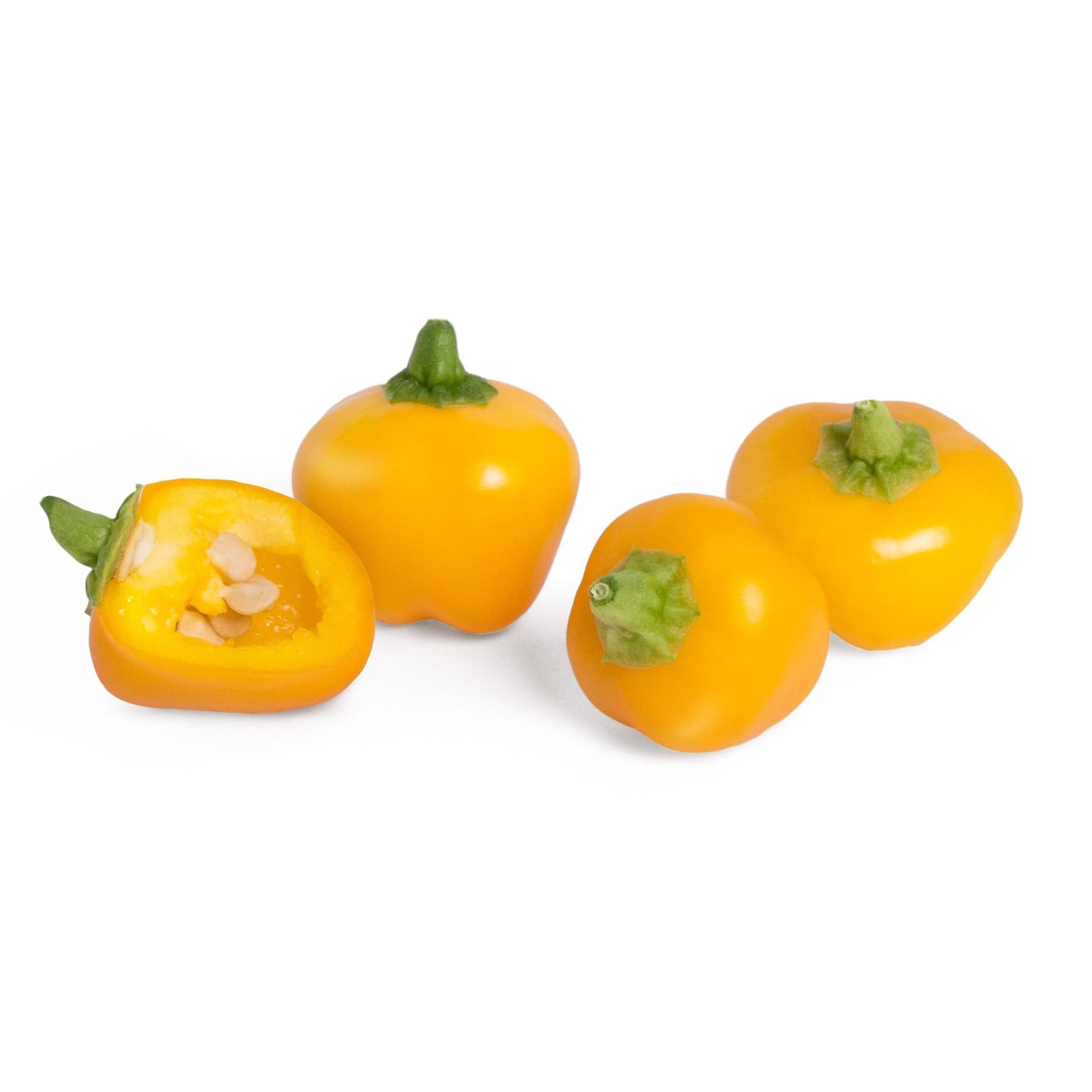 VERITABLE Lingot® Yellow mini bell pepper Organic – Жълти Мини Камби