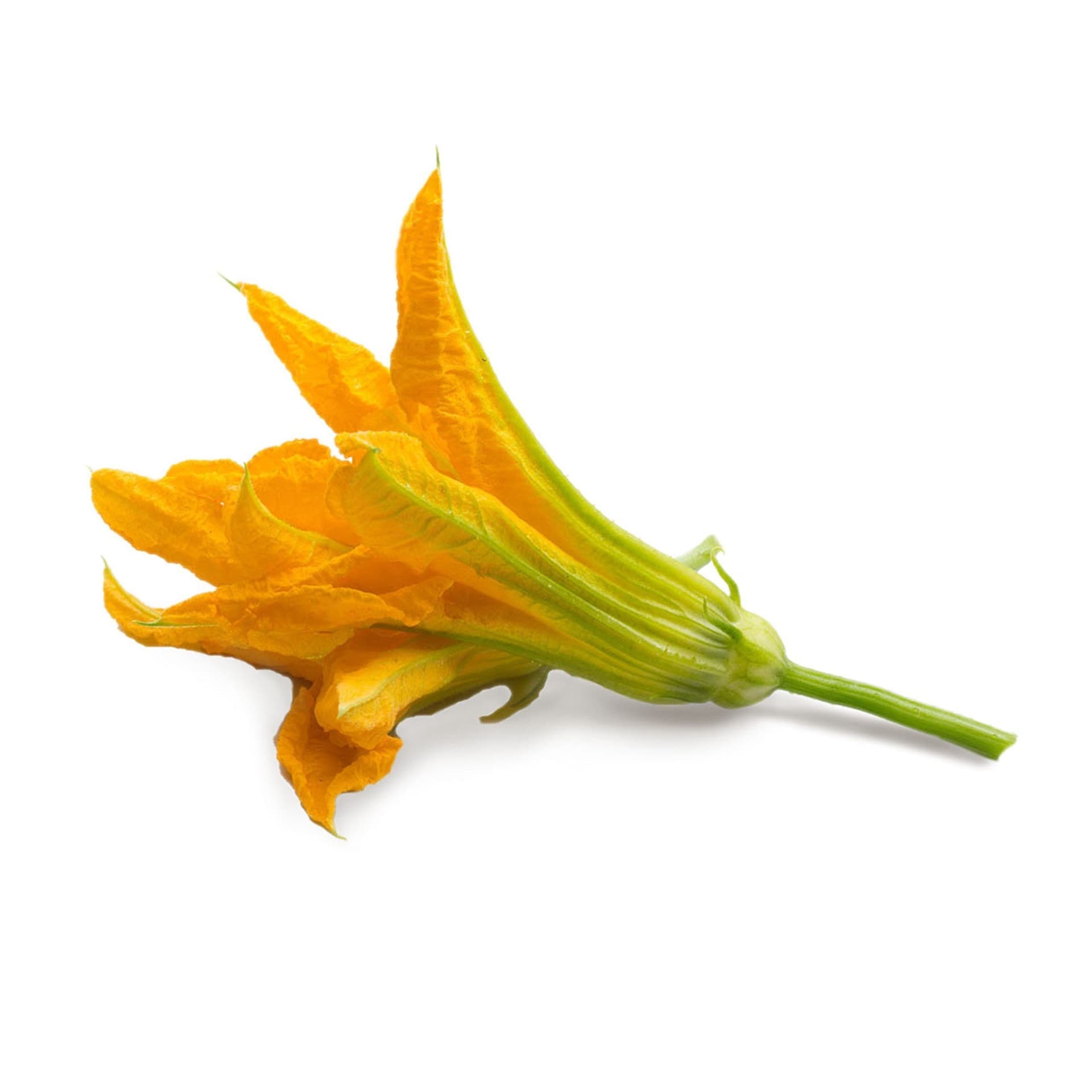 VERITABLE Lingot® Zucchini Flowers Organic – Цвят от Тиква