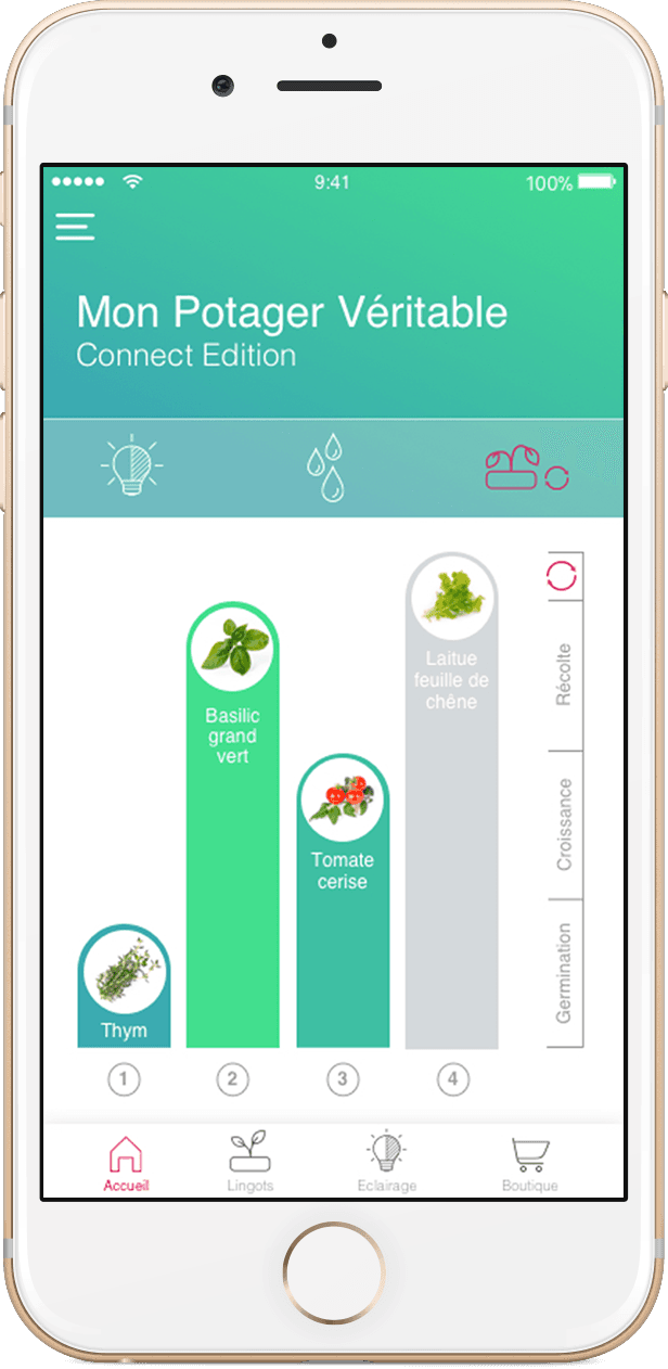 Домашна градина CONNECT VERITABLE® GARDEN – цвят бял/графит