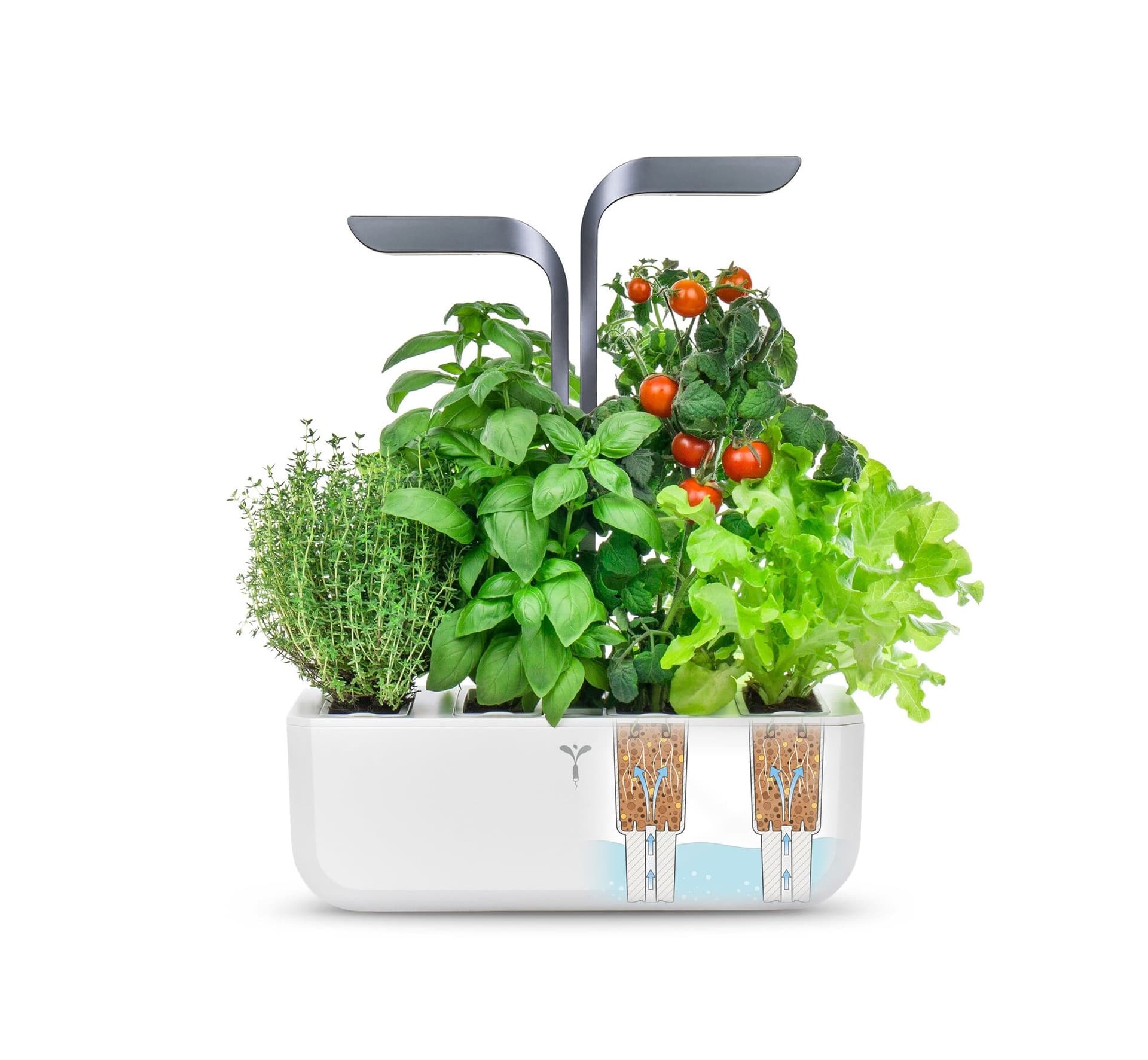 Домашна градина CONNECT VERITABLE® GARDEN – цвят бял/графит