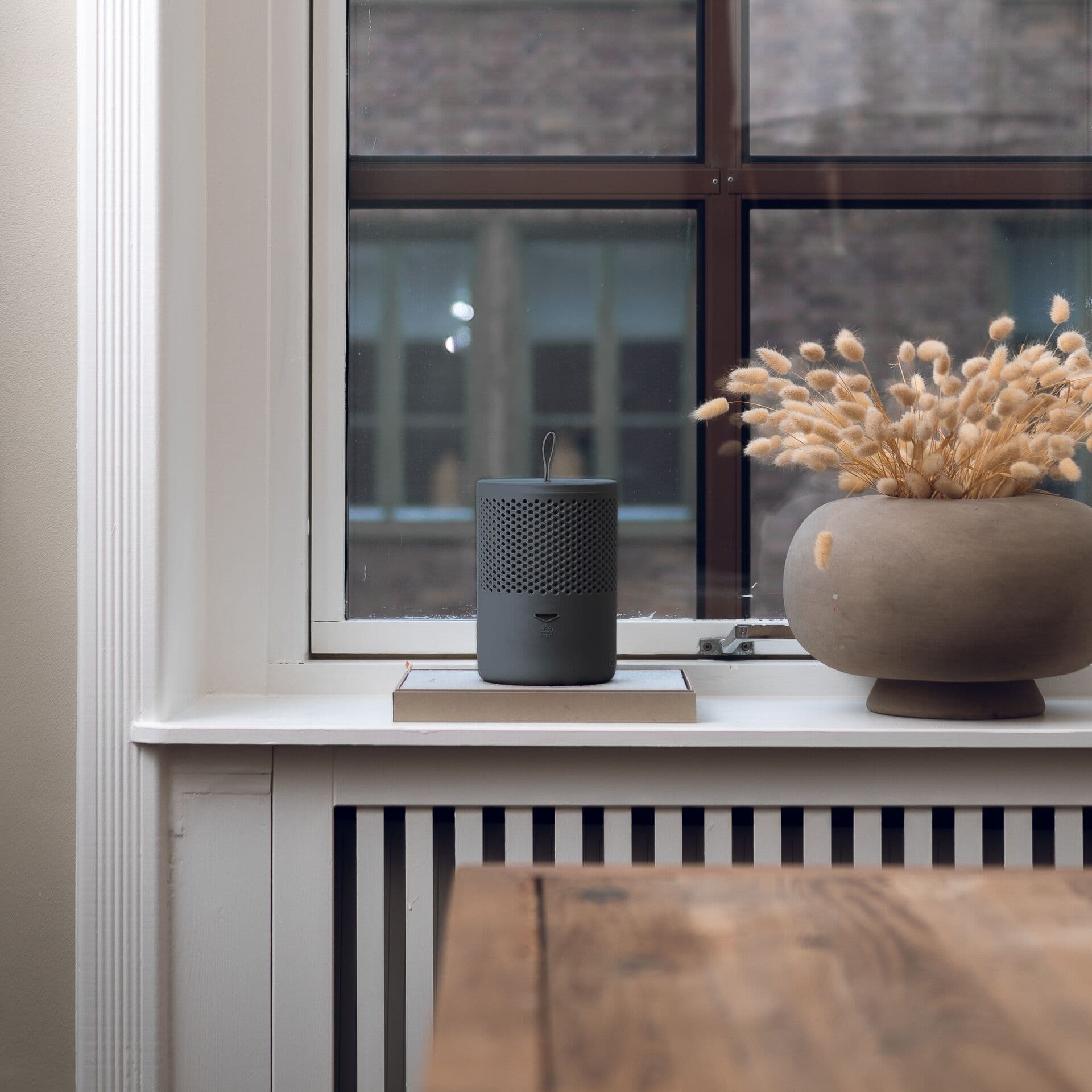 ABSODRY Влагоабсорбатор DUO FAMILY с торбичка – цвят сив