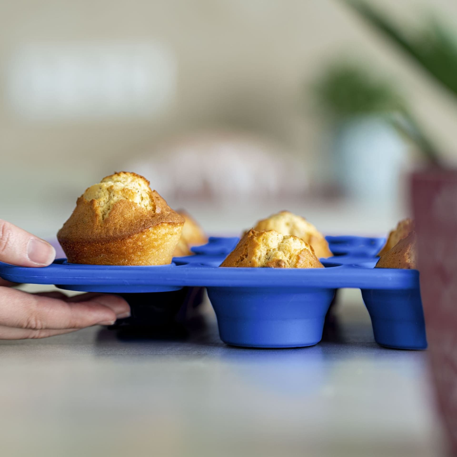 COOX Форма за 12 бр. мъфини – синя