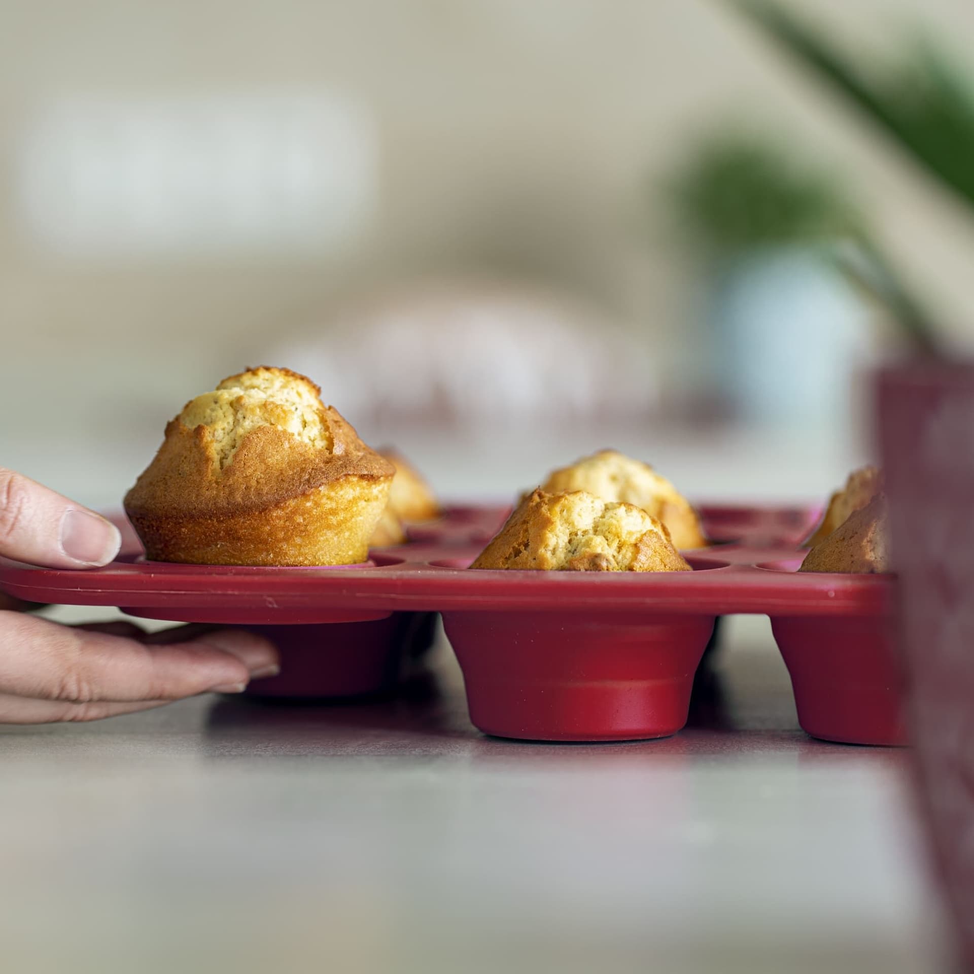 COOX Форма за 12 бр. мъфини – червена