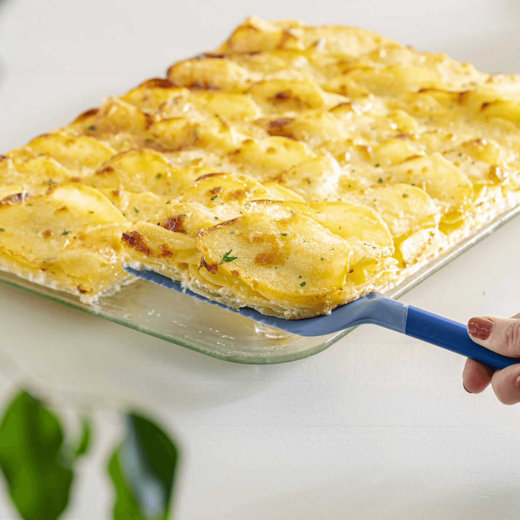 COOX Силиконова шпатула за торта 3 в 1 – за рязане, сервиране и размазване – синя