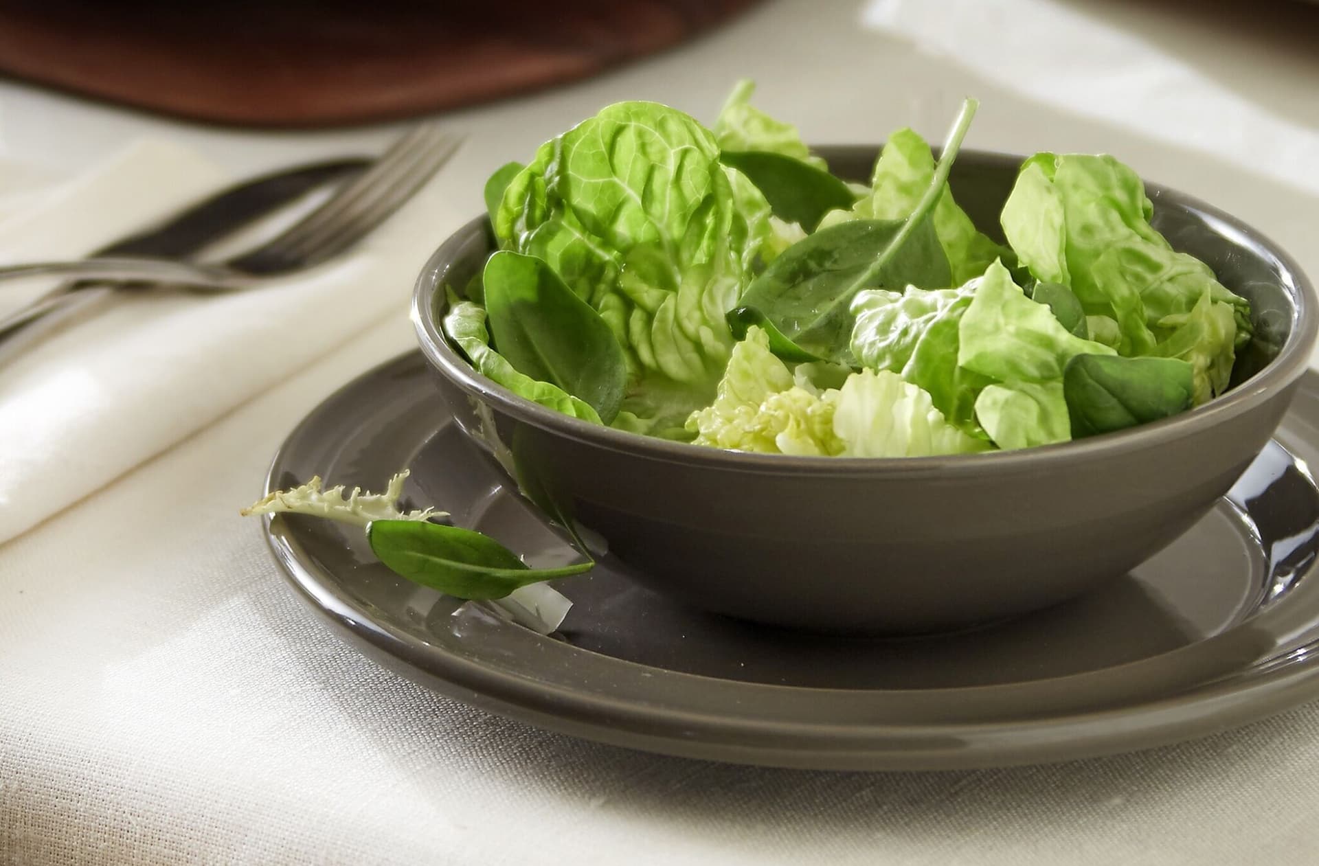 EMILE HENRY Керамична купа за салата Ø 15,5 – цвят зелен / екрю