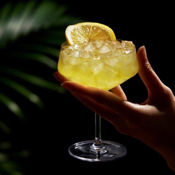 VISKI Кристални чаши купе “RAYE“ 2бр. – 207мл.