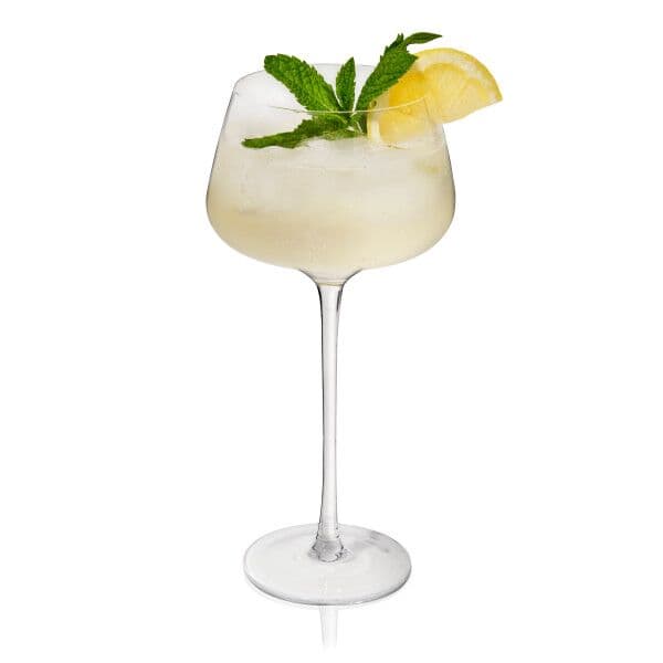 VISKI Кристални чаши за шприц “RAYE“ 2бр. – 470мл.