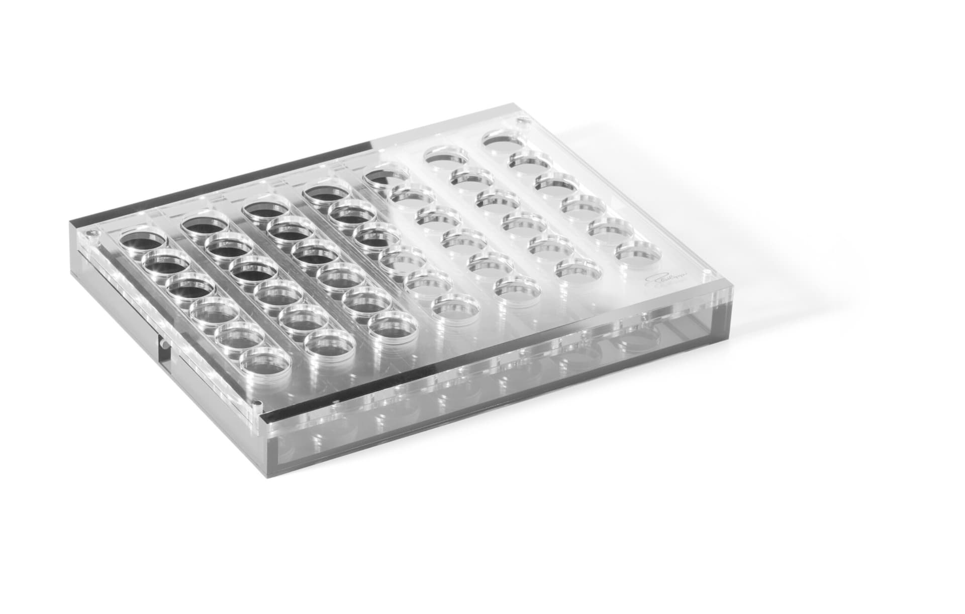 PHILIPPI Настолна игра “YAP“