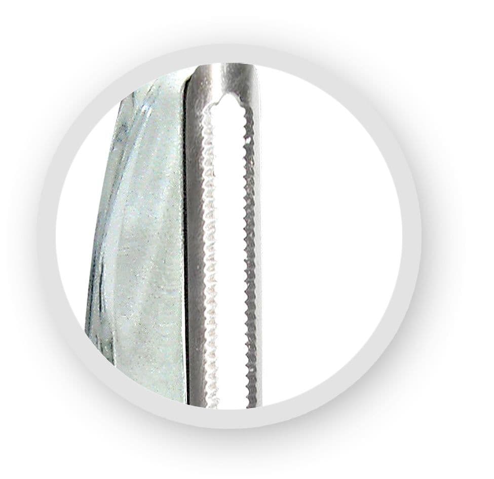 Nerthus Белачка с двойно назъбено ножче