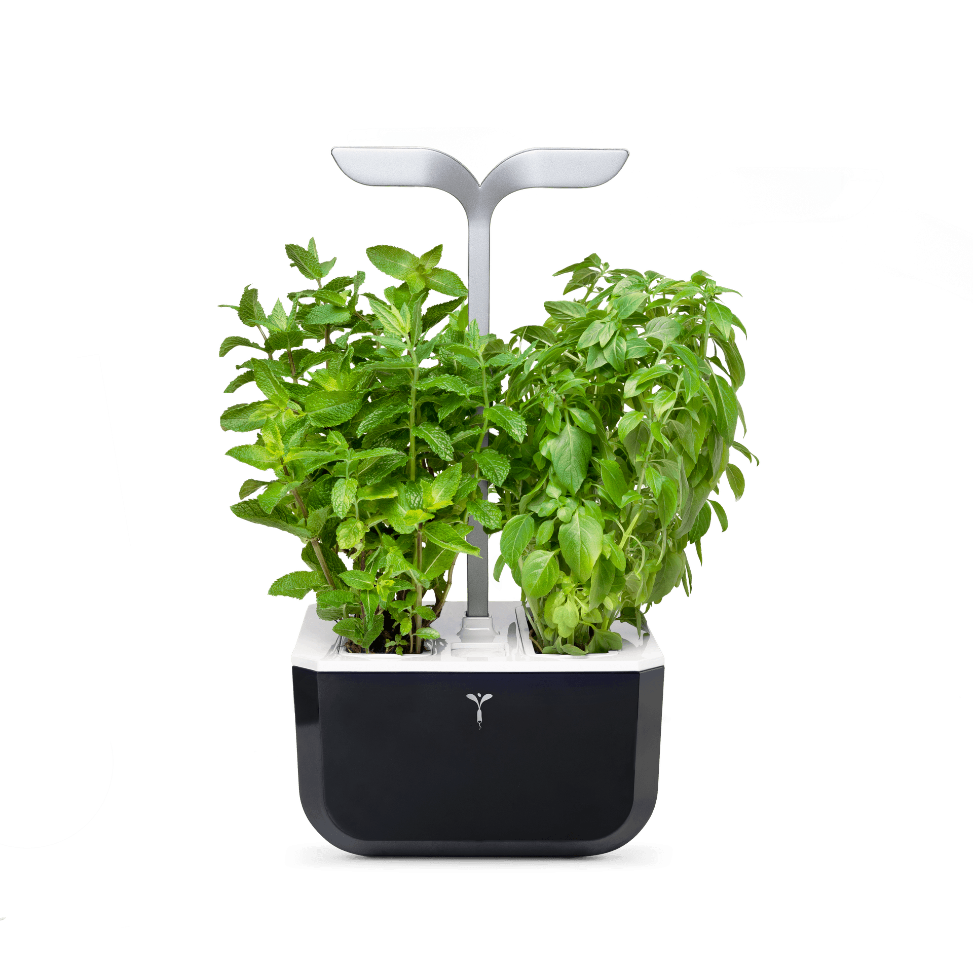 Домашна градина EXKY® SMART GARDEN – цвят черен/инокс