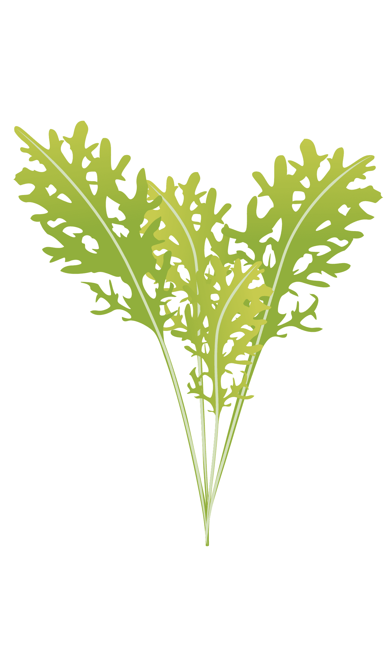 VERITABLE Lingot® Golden Frill Mustard Organic – Златна къдрава Горчица