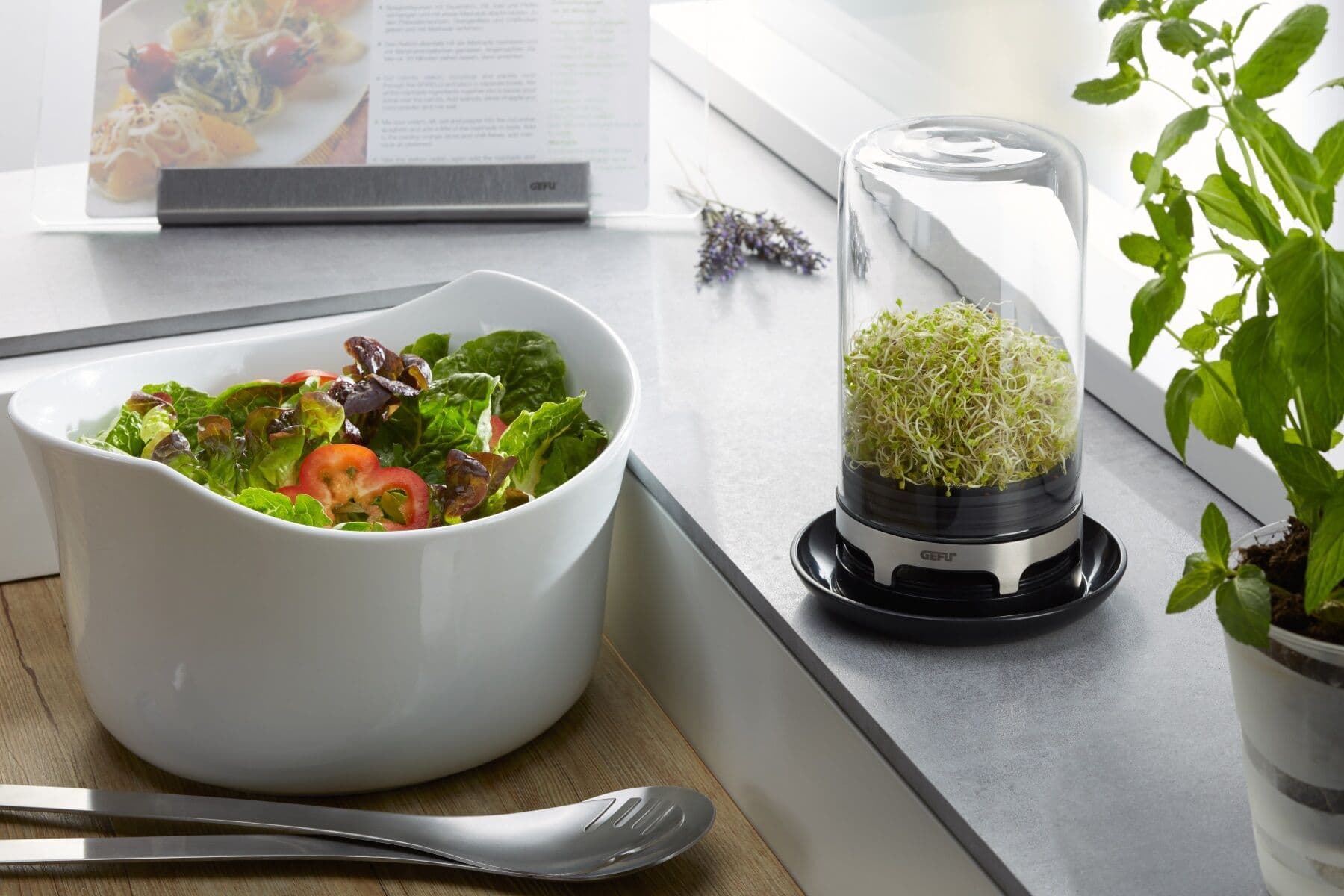 GEFU Уред /система за кълнове  „BIVITA“