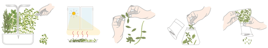 VERITABLE Подаръчен сет “HERBES DE PROVENCE“ с 4 бр. пълнители Lingot® и мелничка