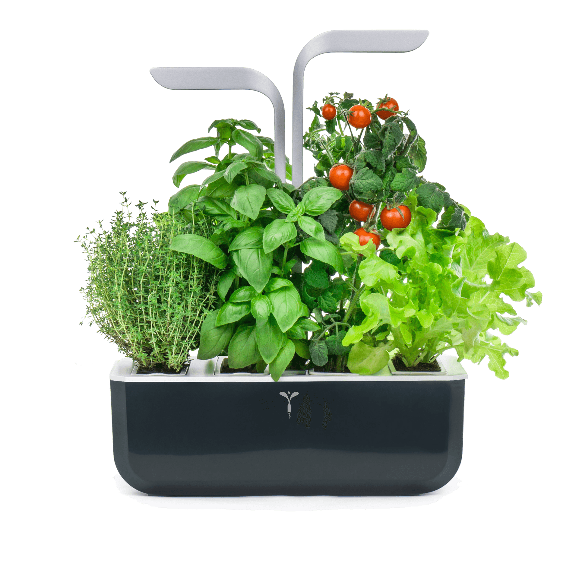 Домашна градина SMART VÉRITABLE® GARDEN – цвят черен/инокс