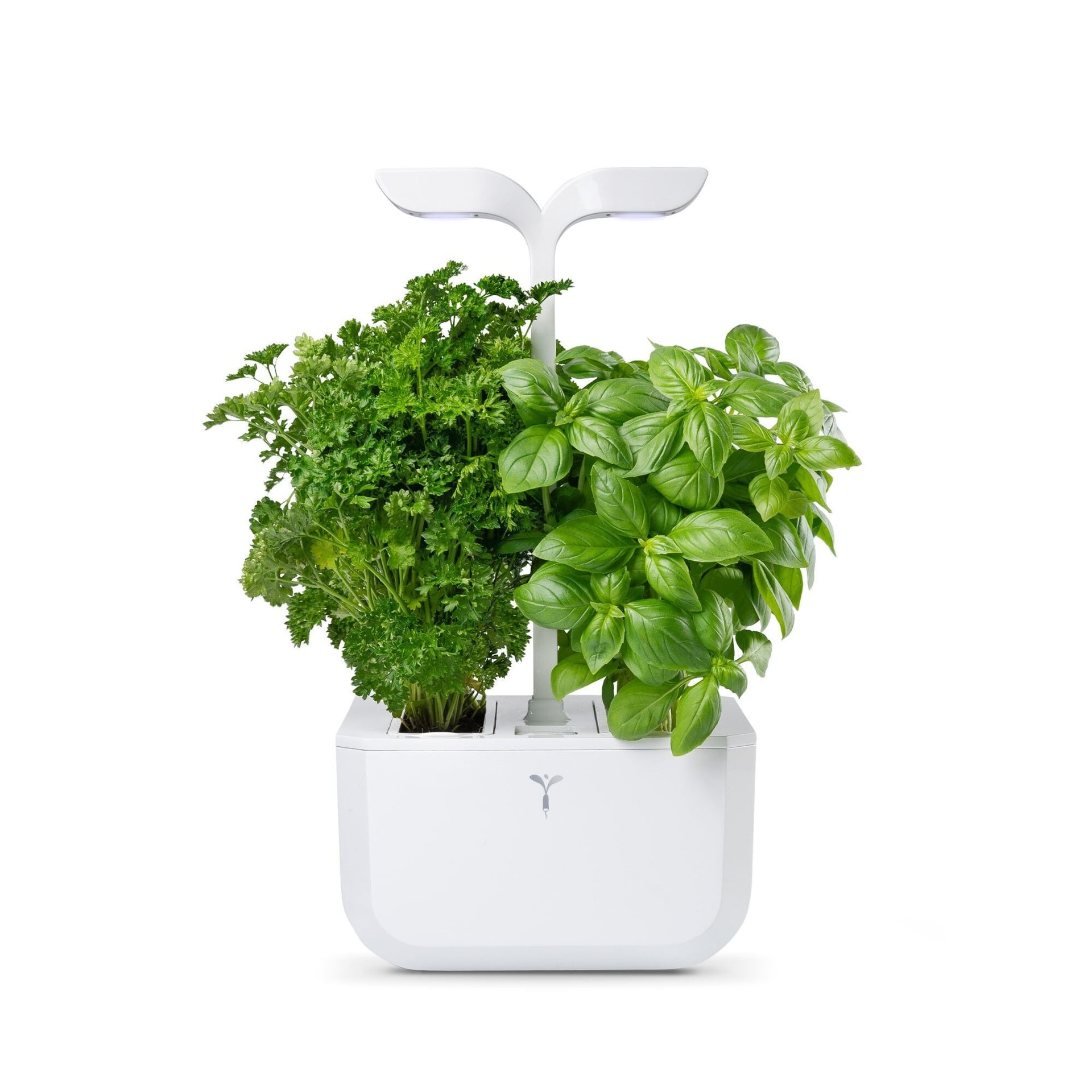 Домашна градина EXKY® CLASSIC GARDEN – цвят бял