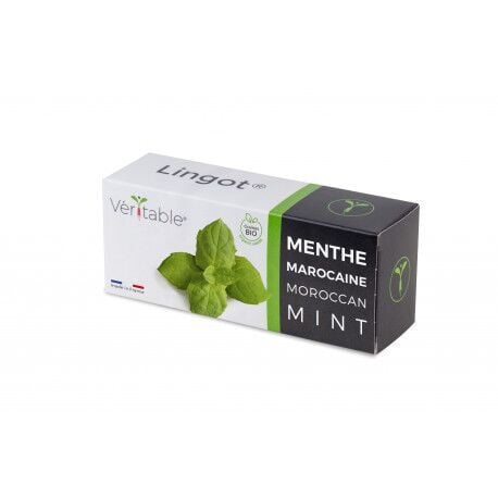 VERITABLE Lingot® Maroccan Mint – Мароканска Мента