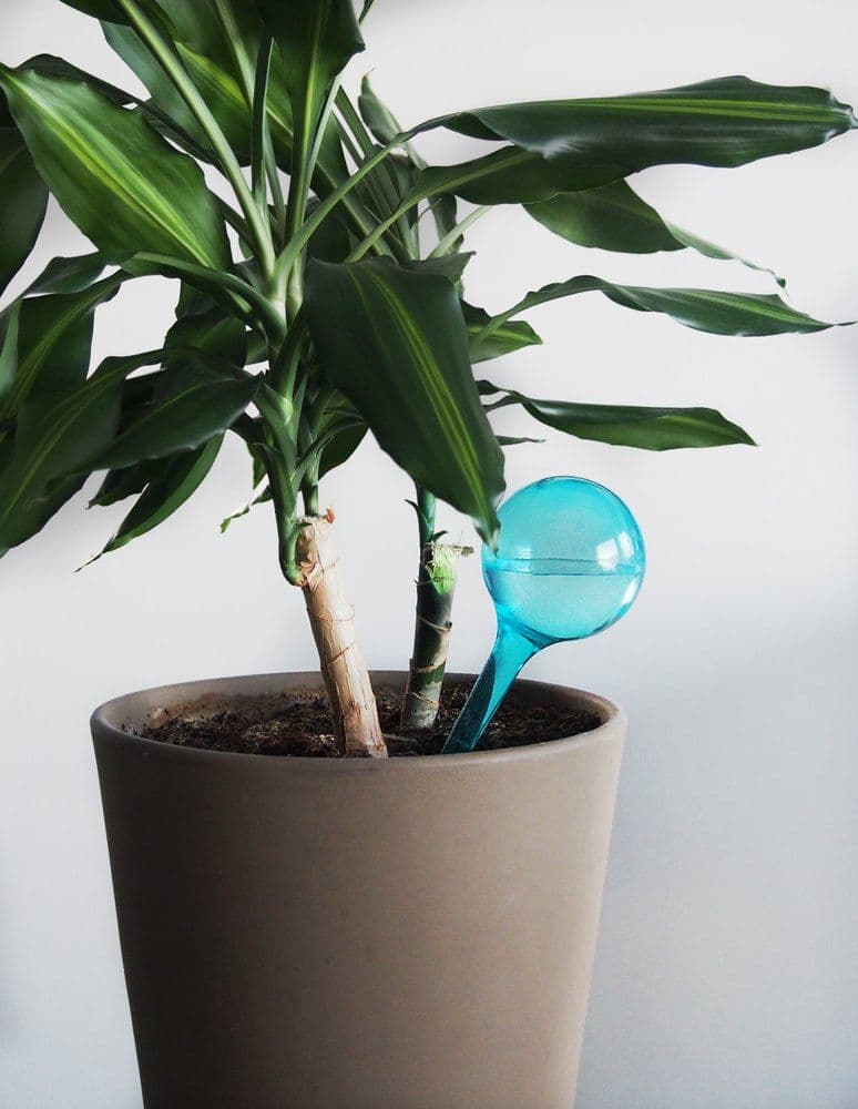 240 мл. - сини