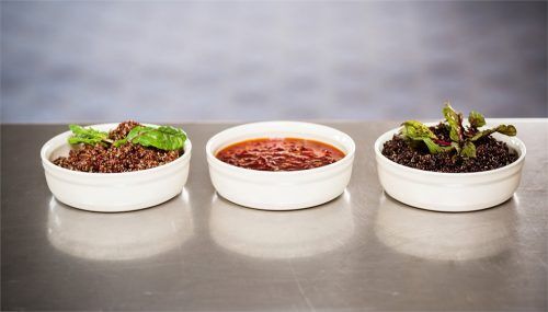 <p><strong>EMILE HENRY Комплект 2 броя керамични купички за крем брюле "2 CRÈME BRÛLÉES RAMEKINS SET"<br />• В комплекта: </strong>2 бр купички<br />• <strong>Ръчно изработени от 100% естествени материали<br />• Устойчиви на температури: </strong>- 20º С до + 270º С<strong><br />• Равномерно разпределение на топлината<br />• Задържат топлината на ястието по-дълго от обикновените съдове<br />• Висока устойчивост на надраскване <br /></strong>• <strong>Материал:  <span style="color: #ff0000;">HR® Ceramic (High Resistance) <span style="color: #000000;">/</span></span></strong><span style="color: #ff0000;"><span style="color: #000000;"> Високо устойчива керамика</span></span><strong><span style="color: #ff0000;"><span style="color: #000000;"> / </span><br /><span style="color: #000000;">• Без съдържание на олово, кадмий и никел</span><br /><span style="color: #000000;">• Размери:  </span></span></strong><span style="color: #ff0000;"><span style="color: #000000;">Ø 12 см </span></span><span style="color: #ff0000;"><span style="color: #000000;"> х 3 см (h)<br /></span></span><span style="color: #ff0000;"><span style="color: #000000;">• <strong>Вместимост:</strong> 0,25 литра</span><br /><span style="color: #000000;"><strong>• Тегло: </strong>0,45 кг</span><br /><span style="color: #000000;">• <strong>Цвят: </strong>сиво-бежов</span><br /><span style="color: #000000;">• <strong>Подходяща за: </strong>фурна / микровълнова фурна / фризер / съдомиялна машина</span><br /><strong><span style="color: #000000;">Производител: EMILE HENRY / Франция</span></strong></span></p><br />Марка: Emile Henry <br />Модел: EH 4013-95<br />Доставка: 2-4 работни дни<br />Гаранция: 2 години