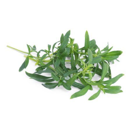 <p><strong>VERITABLE Lingot® Savory Organic - Чубрица</strong><br /><strong>• Покълване: </strong>1-2 седмици<br /><strong>• Първа реколта: </strong>1-2 месеца<br /><strong>• Реколта:</strong> 4-6 мес. <br /><strong>• Органични семена<br /></strong><strong>• 100 % биоразградим<br /></strong><strong>• 100 % компостируем<br /></strong><strong>• Състав: 70% кокосов торф; 30% торф; тор; семена;<br /></strong><strong>• НЕ СЪДЪРЖА ПЕСТИЦИДИ!<br /></strong><strong>• НЕ СЪДЪРЖА ГМО!<br /></strong><strong>За употреба с домашни градини VERITABLE®<br /></strong><strong>Производител: VERITABLE® / Франция<br /></strong><strong>Инструкции за отглеждане:</strong> <span style="color: #ff0000;">(Виж. ПРИКАЧЕНИ ФАЙЛОВЕ)</span></p><br />Марка: VERITABLE <br />Модел: VLIN-A10-Sar027<br />Доставка: 2-4 работни дни<br />Гаранция: 2 години