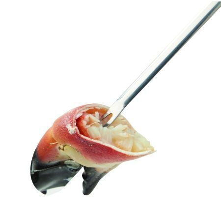 <p><strong>ZYLISS Комплект прибори за морски дарове SEAFOOD </strong><br />• 4 бр прибори + 1 бр държач<br />• За лесно отделяне на месото от черупките на раци, омари, лангусти<br /> • Изработени от неръждаема стомана и висококачествена прастмаса на дръжките <br />• Подходящи за съдомиялна машина<br /><strong>Производител: ZYLISS / Швейцария</strong></p><br />Марка: ZYLISS <br />Модел: ZYLISS 910042<br />Доставка: 2-4 работни дни<br />Гаранция: 2 години