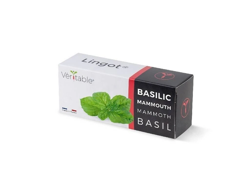 VERITABLE Lingot® Mammoth Basil Organic – Босилек Мамут