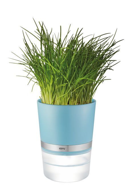 <p><span style="font-size: small;"><strong>GEFU Самополиваща се кашпа за зелени подправки или цветя “BOTANICO“<br /></strong></span><strong>• Цвят: </strong>лазурно синьо<strong><br />• Система за самополиване с найлонов фитил<br />• За стандартни саксии с размери: </strong>мин. Ø 11 см в основата и с макс. Ø 13 см отвор<br /><strong>• Интегриран индикатор за нивото на водата<br /></strong><strong>• 500 мл резервоар за вода<br /></strong><strong>• Размери: </strong>Ø 14,2 х 18,5 см(В)<br />• <strong>Можете да миете в съдомиялна машина</strong><br /><strong>• Материал: неръждаема стомана / найлон / PP</strong><br /><strong>Производител: GEFU / Германия</strong></p><br />Марка: GEFU - GERMANY <br />Модел: GEFU 89506<br />Доставка: 2-4 работни дни<br />Гаранция: 2 години