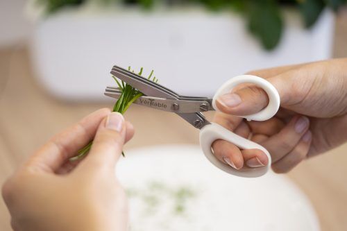 <p><strong>VERITABLE Ножица с тройно острие 3 BLADE MINI HERB SCISSORS</strong> <br />• <strong>Размер:</strong> 6,2 х 13 cм<br />• <strong>Тегло: </strong>56 гр <br />• <strong>Съхранявайте на място, недостъпно за деца</strong> <br />• <strong>Цвят:</strong> бял<br /> • <strong>Материал:</strong> остриета от въглеродна стомана, пластмасови дръжки <br />• <strong>Преди първа употреба почистете с вода и сапун и изсушете веднага</strong><br />• <strong>Включен почистващ гребен<br />• Можете да миете в съдомиялна машина</strong><br /><strong>Производител: VERITABLE® / Франция</strong></p>
<p> </p><br />Марка: VERITABLE <br />Модел: A-ACC-CIS-0077-S<br />Доставка: 2-4 работни дни<br />Гаранция: 2 години