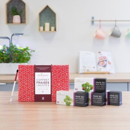 <p><strong>VERITABLE Подаръчен сет “STRAWBERRIES“ с 4 бр. пълнители Lingot® и четчица за опрашване</strong><br /><strong>• Комплектът съдържа:</strong><br /><strong> - </strong><a href="https://pip.bg/61" target="_blank">Бели диви ягоди - 2 бр.</a><strong><br /></strong><span> - </span><a href="https://pip.bg/62" target="_blank">Червени диви ягоди - 2 бр.</a><br /><span> - </span><a href="https://pip.bg/63" target="_blank">Четчица за опрашване - 1 бр. </a><br /><strong>• Органични семена<br /></strong><strong>• 100 % биоразградим<br /></strong><strong>• 100 % компостируем<br /></strong><strong>• Състав: 70% кокосов торф; 30% торф; тор; семена;<br /></strong><strong>• НЕ СЪДЪРЖА ПЕСТИЦИДИ!<br /></strong><strong>• НЕ СЪДЪРЖА ГМО!<br /></strong><strong>За употреба с домашни градини VERITABLE®<br /></strong><strong>Производител: VERITABLE® / Франция<br /></strong><strong>Инструкции за отглеждане:</strong><span> </span><span style="color: #ff0000;">(Виж. ПРИКАЧЕНИ ФАЙЛОВЕ)</span></p><br />Марка: VERITABLE <br />Модел: KIT-FRALING-FR-39<br />Доставка: 2-4 работни дни<br />Гаранция: 2 години