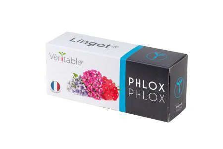 VERITABLE Lingot® Phlox - Ядлив Флокс