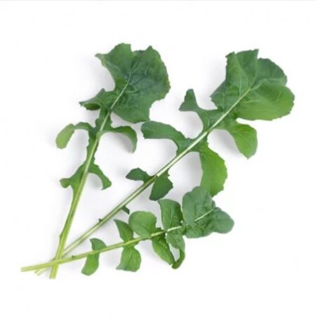 <p><strong>VERITABLE Lingot® Arugula Organic - Рукола</strong><br /><strong>• Покълване: </strong><span>1 седмица</span><br /><strong>• Първа реколта: </strong><span>3-4 седмици</span><br /><strong>• Реколта:</strong><span> 2-3 мес. </span><br /><strong>• Органични семена<br /></strong><strong>• 100 % биоразградим<br /></strong><strong>• 100 % компостируем<br /></strong><strong>• Състав: 70% кокосов торф; 30% торф; тор; семена;<br /></strong><strong>• НЕ СЪДЪРЖА ПЕСТИЦИДИ!<br /></strong><strong>• НЕ СЪДЪРЖА ГМО!<br /></strong><strong>За употреба с домашни градини VERITABLE®<br /></strong><strong>Производител: VERITABLE® / Франция<br /></strong><strong>Инструкции за отглеждане:</strong><span> </span><span style="color: #ff0000;">(Виж. ПРИКАЧЕНИ ФАЙЛОВЕ)</span></p><br />Марка: VERITABLE <br />Модел: VLIN-J10-Roq02E<br />Доставка: 2-4 работни дни<br />Гаранция: 2 години