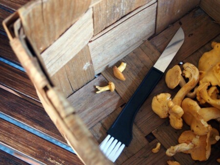 <p><strong>MARJUKKA Нож за гъби с четка - черен</strong><br /><strong>• Материал:</strong><span> стомана, полипропилен<br /></span><strong>• Размери:</strong><span> 3 х 19 см.<br /></span><strong>• Размер на опаковката: </strong><span>9,2 х 1 х 25 см</span><br /><strong>• Тегло: </strong><span>0,025 кг.<br /><strong>• Цвят на дръжката:</strong> черен<br /><strong>• Не е подходящ за съдомиялна машина<br /></strong></span><strong>Производител: Tammer Brands/ Финландия</strong></p><br />Марка: MARJUKKA <br />Модел: TB Marjukka 18220 B<br />Доставка: 2-4 работни дни<br />Гаранция: 2 години