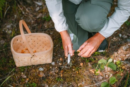 <p><strong>MARJUKKA Нож за гъби с четка - бял</strong><br /><strong>• Материал:</strong><span> стомана, полипропилен<br /></span><strong>• Размери:</strong><span> 3 х 19 см.<br /></span><strong>• Размер на опаковката: </strong><span>9,2 х 1 х 25 см</span><br /><strong>• Тегло: </strong><span>0,025 кг.<br /><strong>• Цвят на дръжката:</strong> бял<br /><strong>• Не е подходящ за съдомиялна машина<br /></strong></span><strong>Производител: Tammer Brands/ Финландия</strong></p><br />Марка: MARJUKKA <br />Модел: TB Marjukka 18220 W<br />Доставка: 2-4 работни дни<br />Гаранция: 2 години