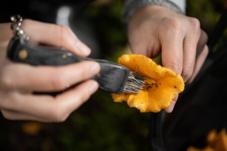 <p><strong>MARJUKKA Сгъваем извит нож за гъби с дървена дръжка и четка</strong><br /><strong>• Материал:</strong><span> стомана, розово дърво<br /><strong>• Четка от естествен косъм</strong><br /></span><strong>• Размери:</strong><span> 3 х 13,5 х 2 см. см.<br /></span><strong>• Размер на опаковката: </strong><span>4,5 х 2,5 х 17 см</span><br /><strong>• Тегло: </strong><span>0,110 кг.<br /><strong>• Не е подходящ за съдомиялна машина<br /></strong></span><strong>Производител: Tammer Brands/ Финландия</strong></p><br />Марка: MARJUKKA <br />Модел: TB Marjukka 606929<br />Доставка: 2-4 работни дни<br />Гаранция: 2 години