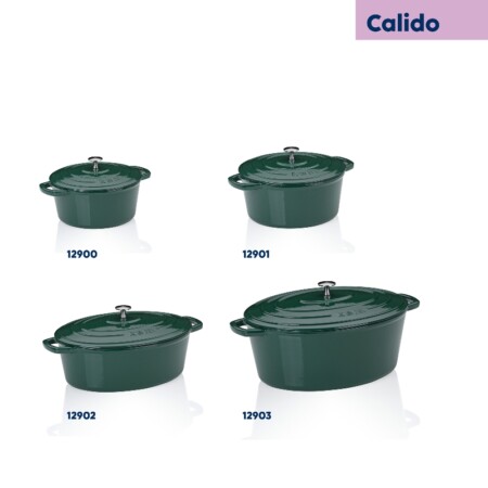 <p><strong>KELA Чугунена тенджера с капак &ldquo;Calido&ldquo; - &Oslash; 26 см. - зелена</strong><br /><strong>&bull; Серия:&nbsp;</strong>Calido<br /><strong>&bull; Материал:</strong>&nbsp;чугун<br /><strong>&bull; Размери:</strong>&nbsp;&Oslash; 26 х 12 см.<br />&bull;&nbsp;<strong>Диаметър на дъното</strong>:&nbsp;&Oslash; 20 см.<br /><strong>&bull; Вместимост:</strong>&nbsp;4,6 л.<br /><strong>&bull; Цвят:</strong>&nbsp;зелен<br /><strong>&bull; Производител: KELA / Германия<br /></strong>&bull;&nbsp;<strong>Подходяща за:</strong></p>
<p><strong><img src="https://www.vip-giftshop.com/media//file_8.jpg" alt="" width="200" /></strong></p><br />Марка: KELA <br />Модел: KELA 12901<br />Доставка: 2-4 работни дни<br />Гаранция: 2 години