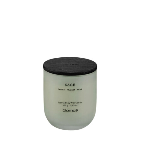 размер S - аромат Sage